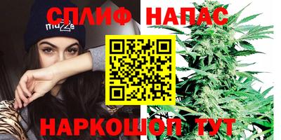 марки nbome Сланцы