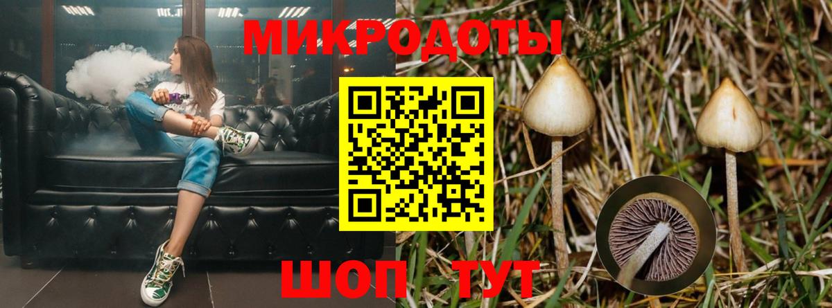 Галлюциногенные грибы MAGIC MUSHROOMS Оренбург